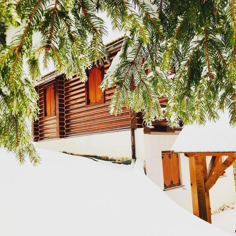 Pine Lodge Hlevci Eksteriør bilde
